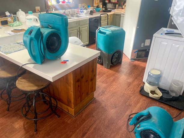 Best 24-hour water damage restoration  in Monson Center, MA