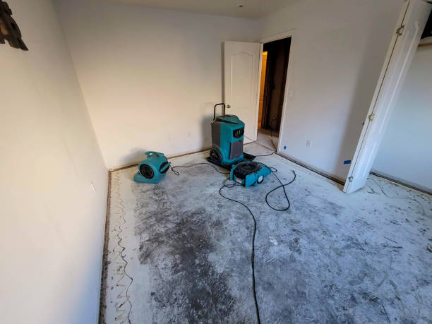 Reliable MA Water damage restoration Solutions