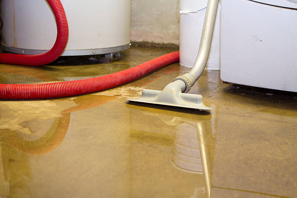 Best Carpet water damage restoration  in Monson Center, MA