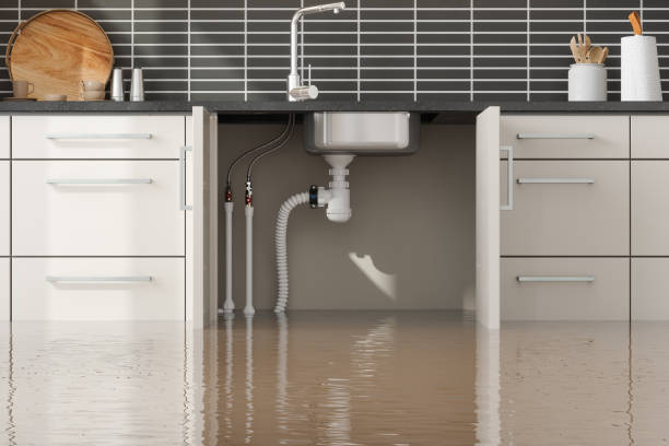 Best Local water damage restoration  in Monson Center, MA