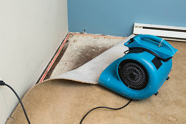 Best Commercial water damage restoration  in Monson Center, MA
